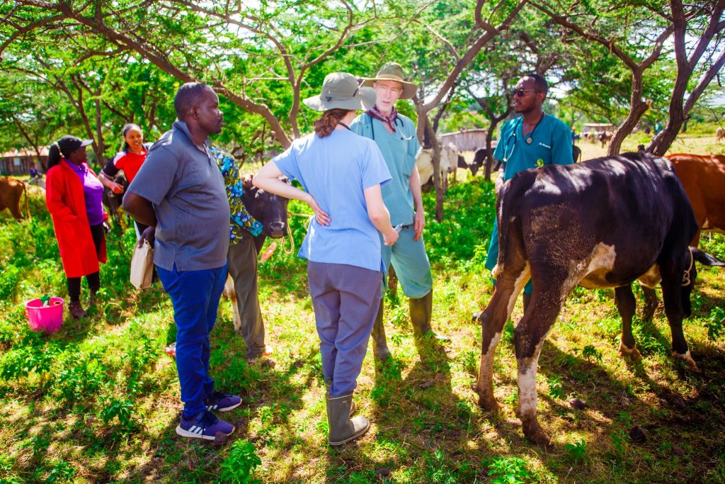 Top Photography & Videography services in Nairobi, Kenya – Oramedia – THE BIG PICTURE